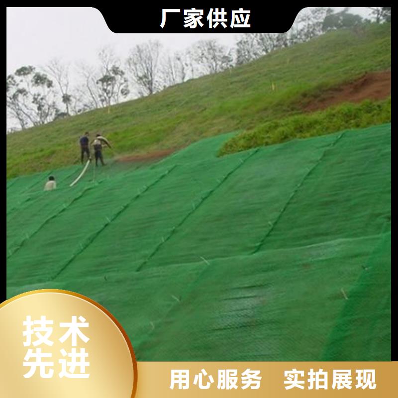 三维植被网防渗膜支持非标定制