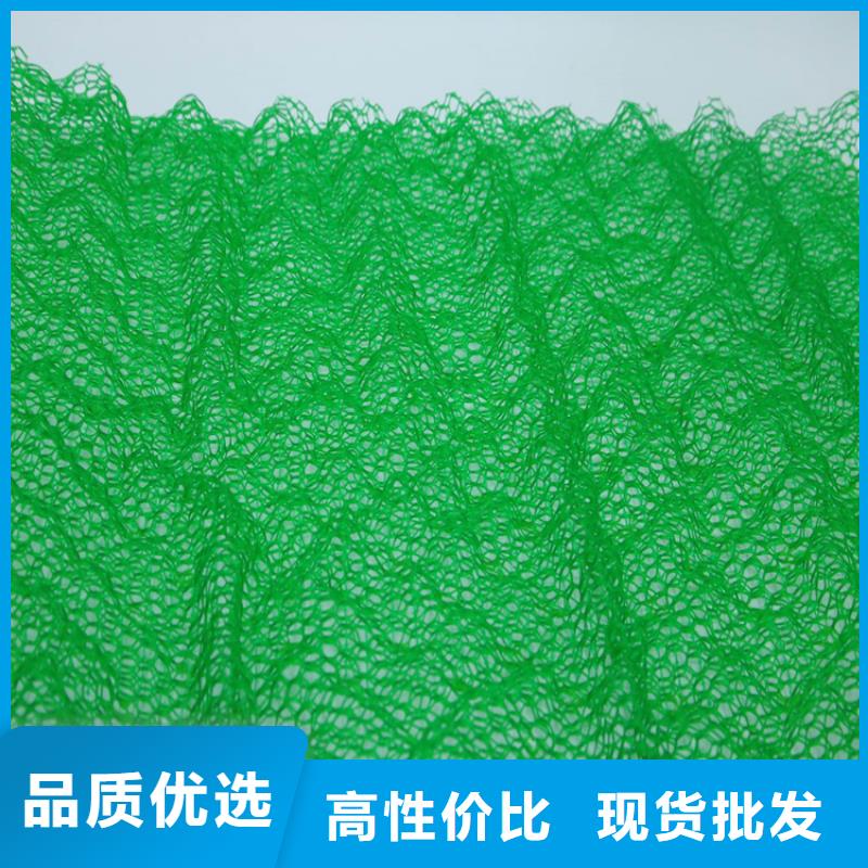 直销(鼎诺)三维植被网土工布来图定制