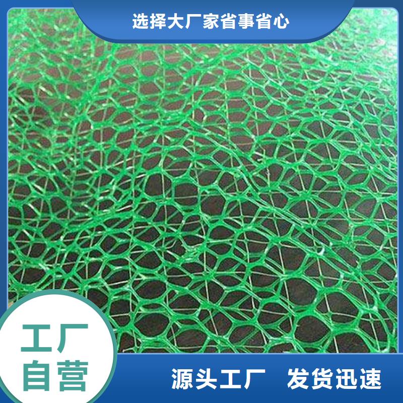 直销(鼎诺)三维植被网土工布来图定制