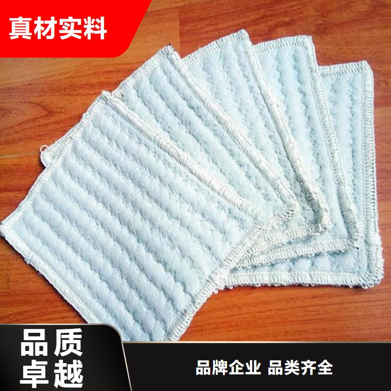 膨润土防水毯【土工布】高标准高品质