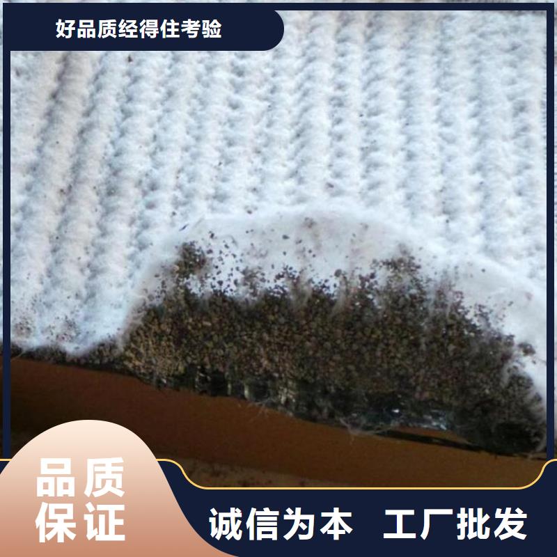 【膨润土防水毯】-土工格栅欢迎来电咨询