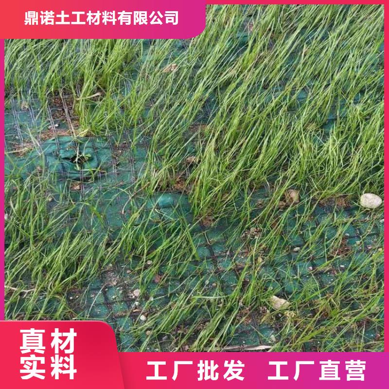 椰丝毯_【复合土工膜】批发货源