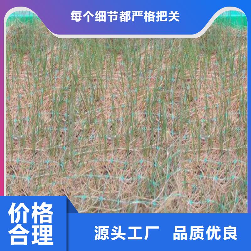 【椰丝毯】复合土工膜精品优选