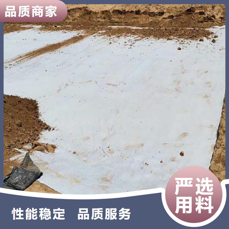 膨润土防水毯【单向塑料土工格栅】专业按需定制