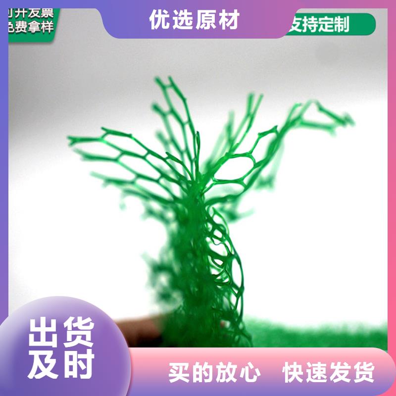 三维植被网_土工膜品类齐全