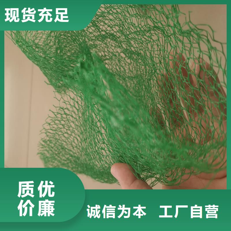 三维植被网土工格栅厂家新品