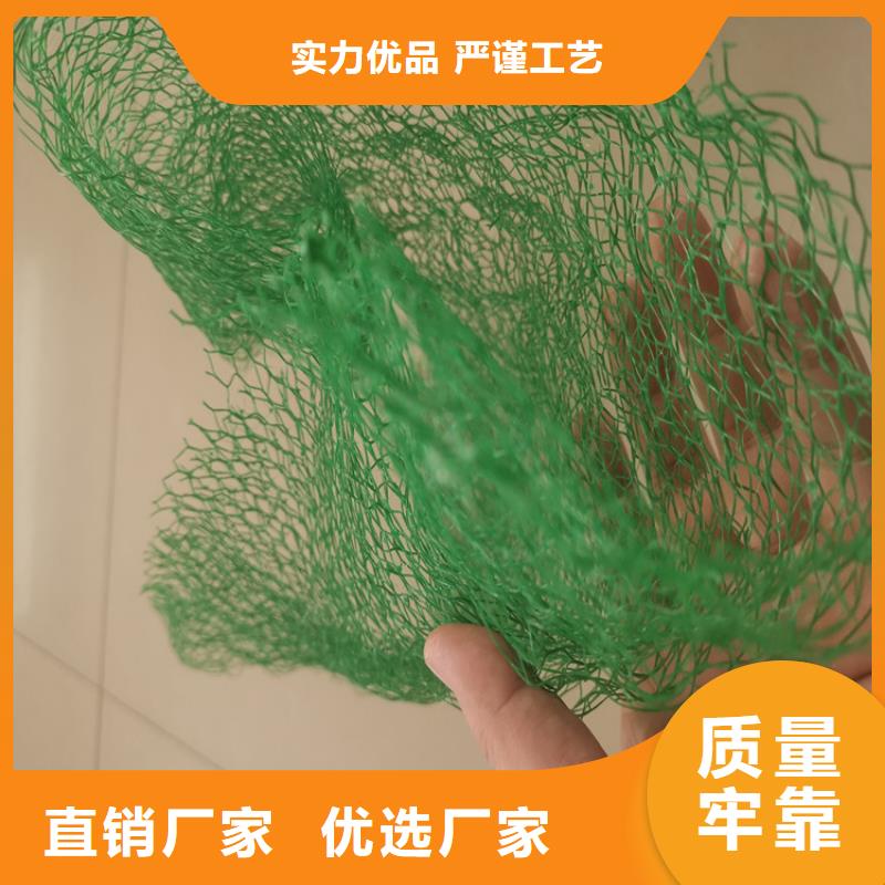 三维植被网防渗膜型号齐全