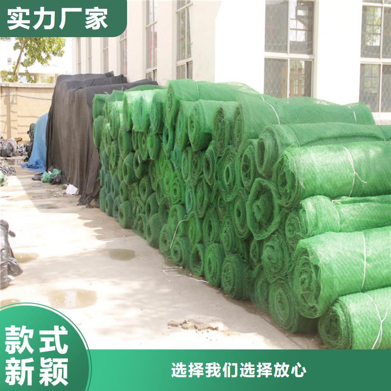 三维植被网短纤无纺土工布当地货源