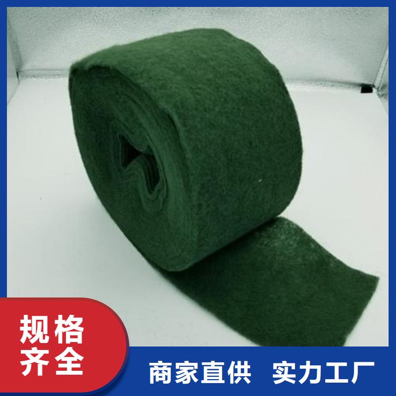 裹树布【防渗膜】用心制作