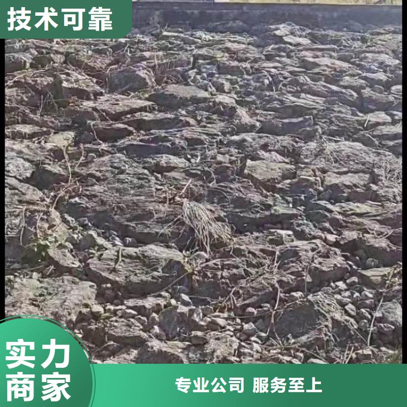 潜水员水下服务批发价格浪淘沙潜水