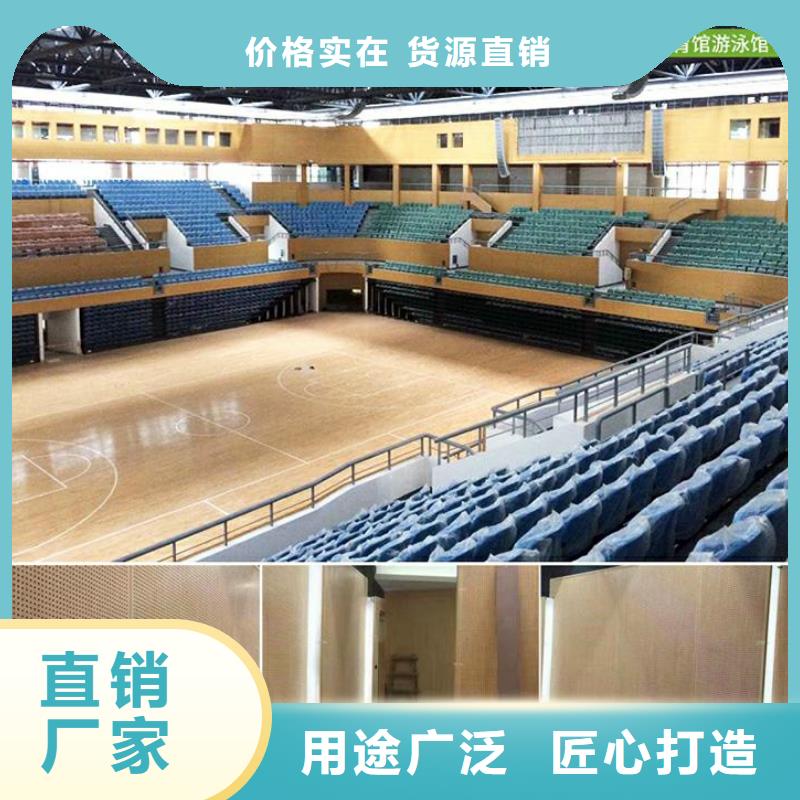 龙潭区多功能体育馆声学改造价格--2024最近方案/价格