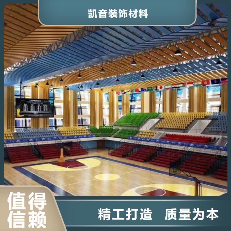 广东省佛山市西樵镇集团公司体育馆声学改造价格--2024最近方案/价格