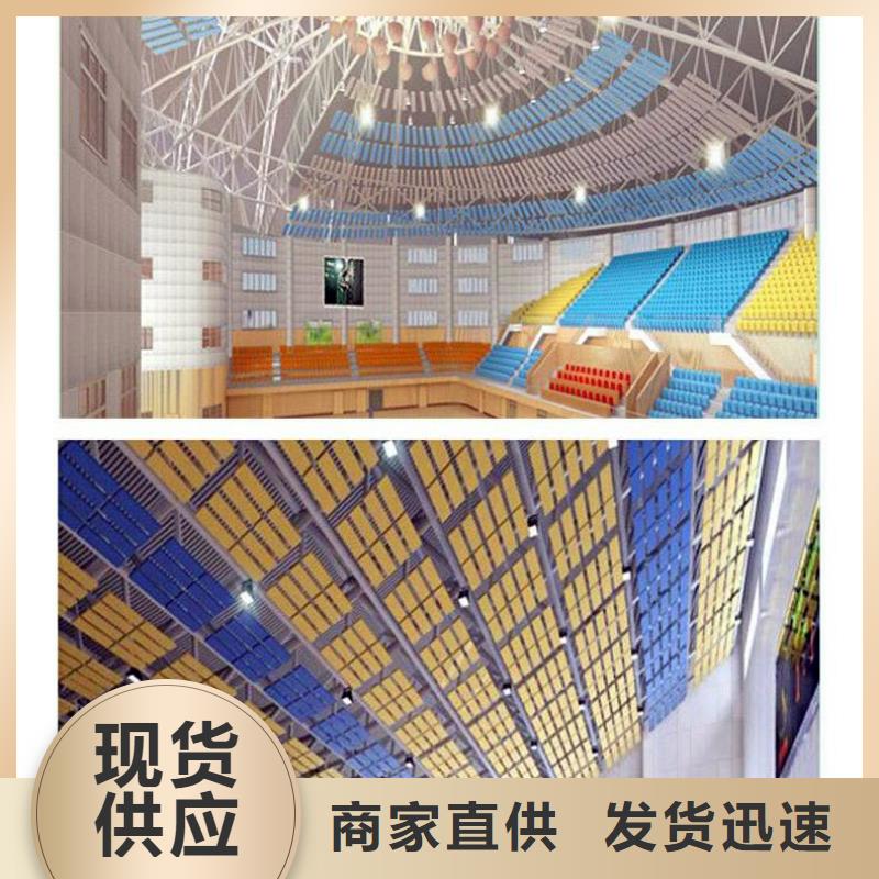 广东省佛山市西樵镇集团公司体育馆声学改造价格--2024最近方案/价格