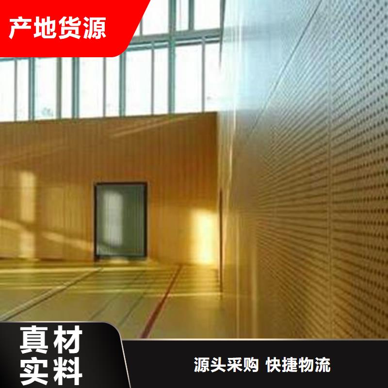 九龙坡区训练馆体育馆吸音改造公司--2024最近方案/价格