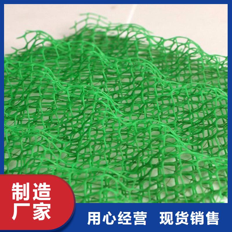 《广安》经营优质塑料三维植被网的当地厂家