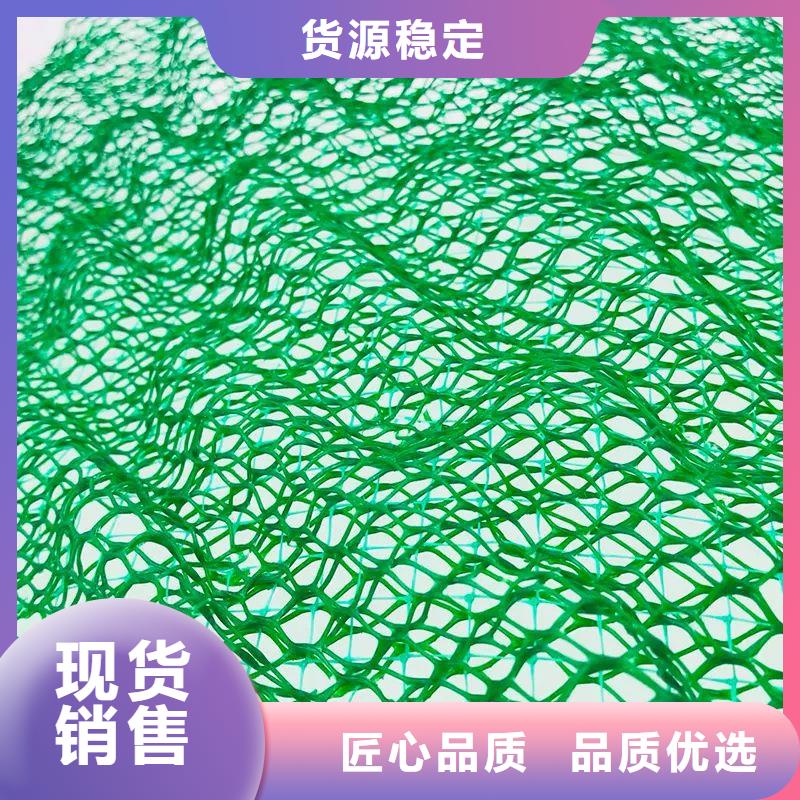 《广安》经营优质塑料三维植被网的当地厂家