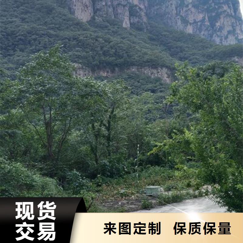 大型混凝土输送泵厂家制造厂家