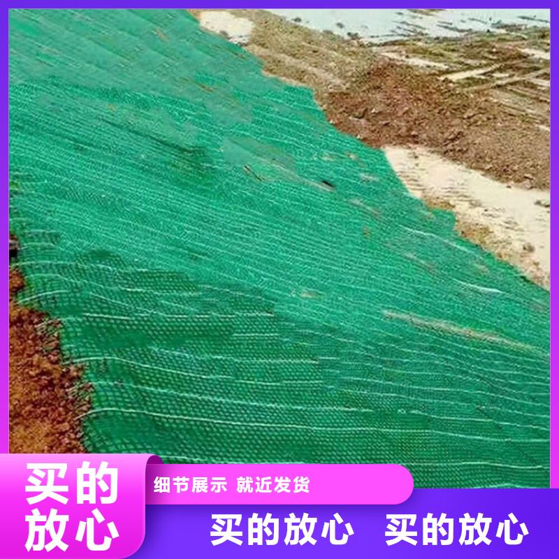 抗冲生物毯-植被纤维毯-加筋麻椰固土毯