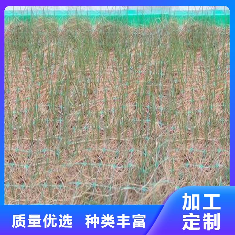 植生椰丝毯加筋抗冲生物毯公司动态