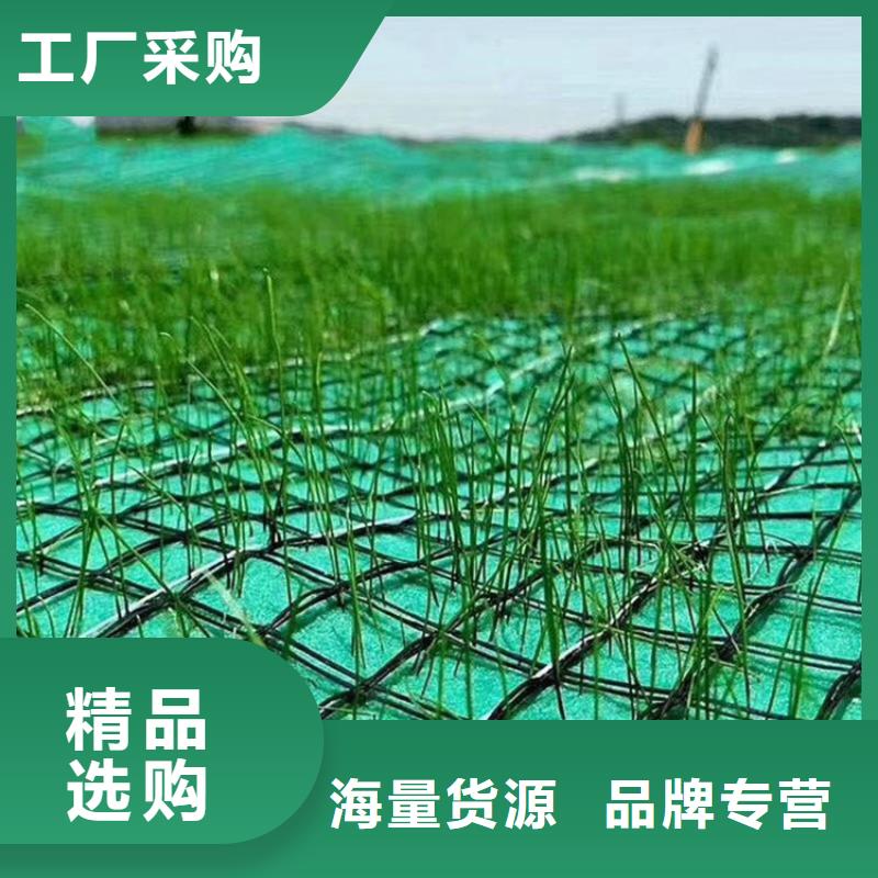 植物纤维毯生态环保草毯品牌：【鼎诺】-