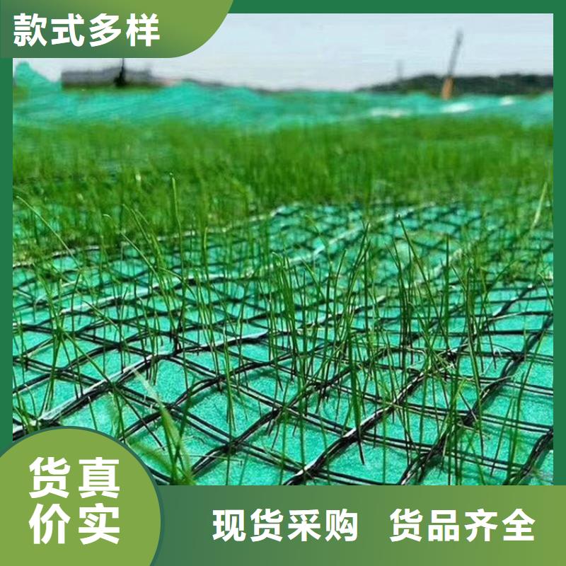 直销【鼎诺】植物纤维毯-抗老化植草毯-护坡植物纤维毯