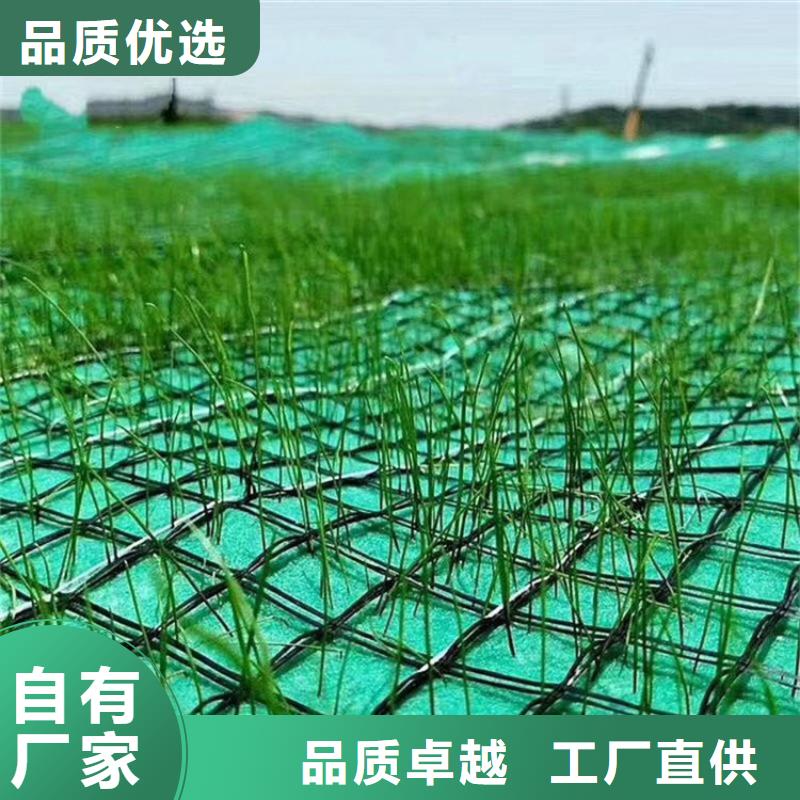 (鼎诺):椰丝毯-生态护坡毯-加筋复合植草毯质量优选-
