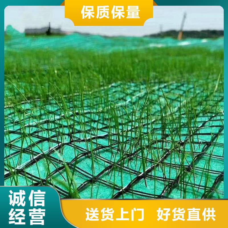 选购(鼎诺)植物纤维毯植物生态防护毯