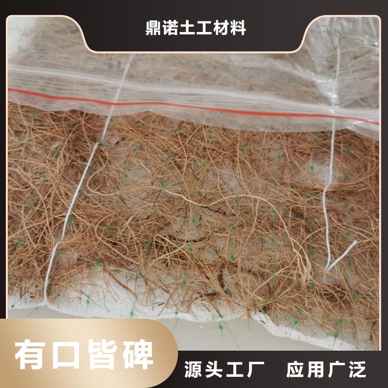加筋抗冲生物毯-椰丝环保草毯-生态植草毯