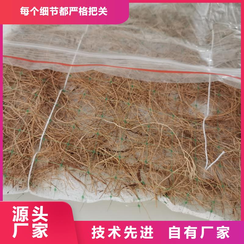 优质工艺[鼎诺]护坡植被植草毯-椰丝草毯