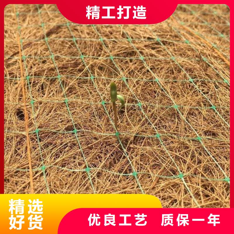 椰丝毯-植物纤维草毯-椰丝固土毯
