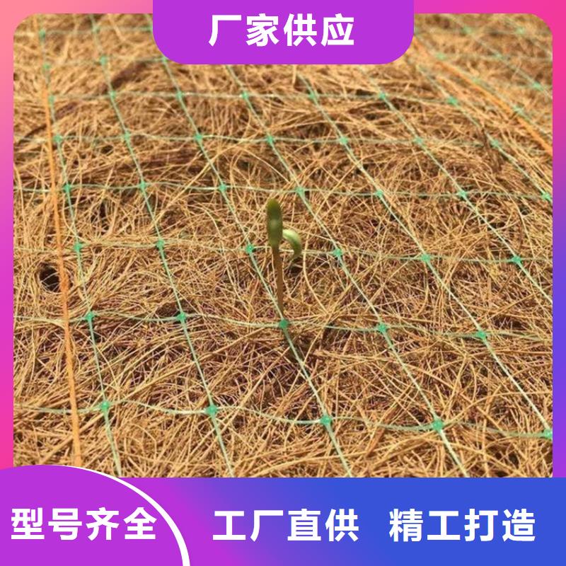 保亭县椰丝毯-带草籽环保草毯-秸秆纤维生态毯