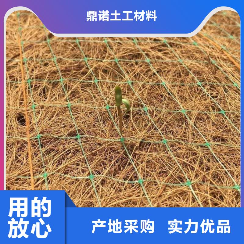 产地批发(鼎诺)植物生态防护毯-加筋复合生态草毯