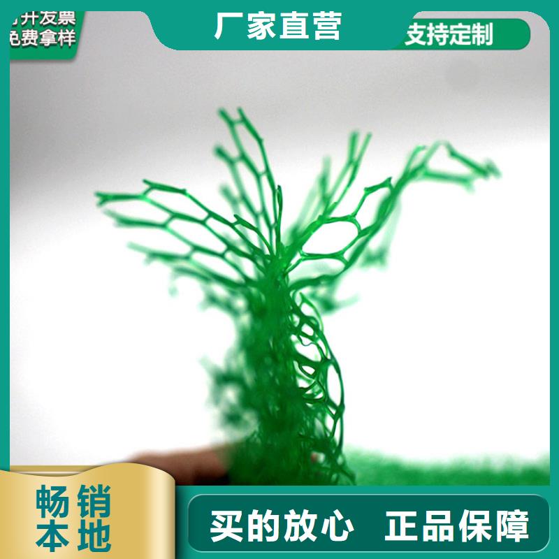 三维植被网EM4塑料