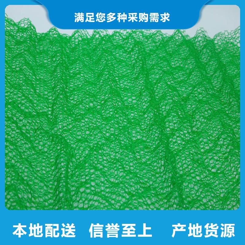 固土绿化加筋护坡植草网垫- 本地 实体诚信厂家-新闻资讯