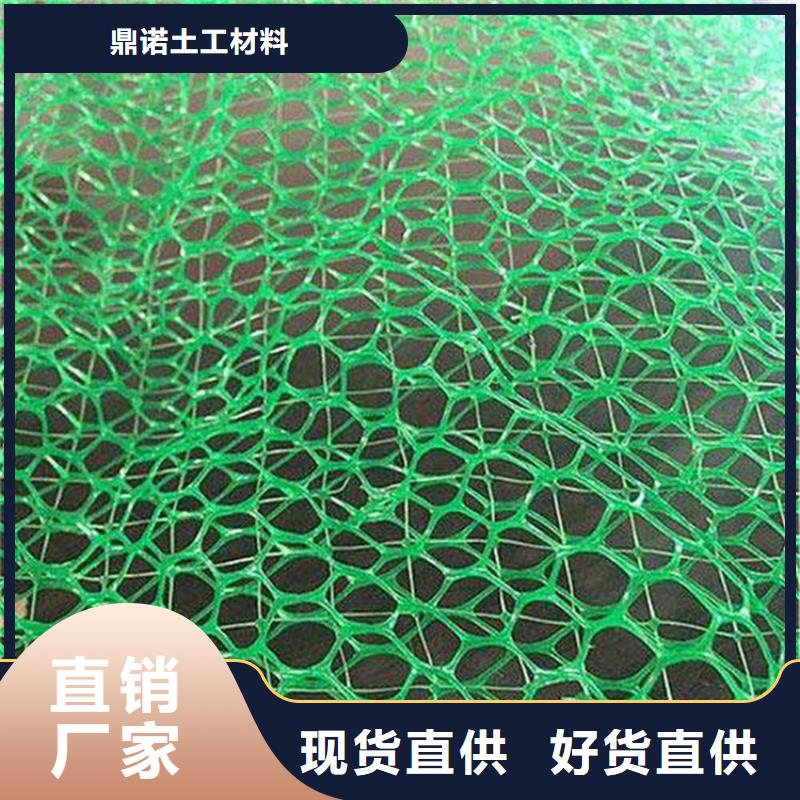 采购{鼎诺}三维植被网,HDPE土工膜质量安全可靠