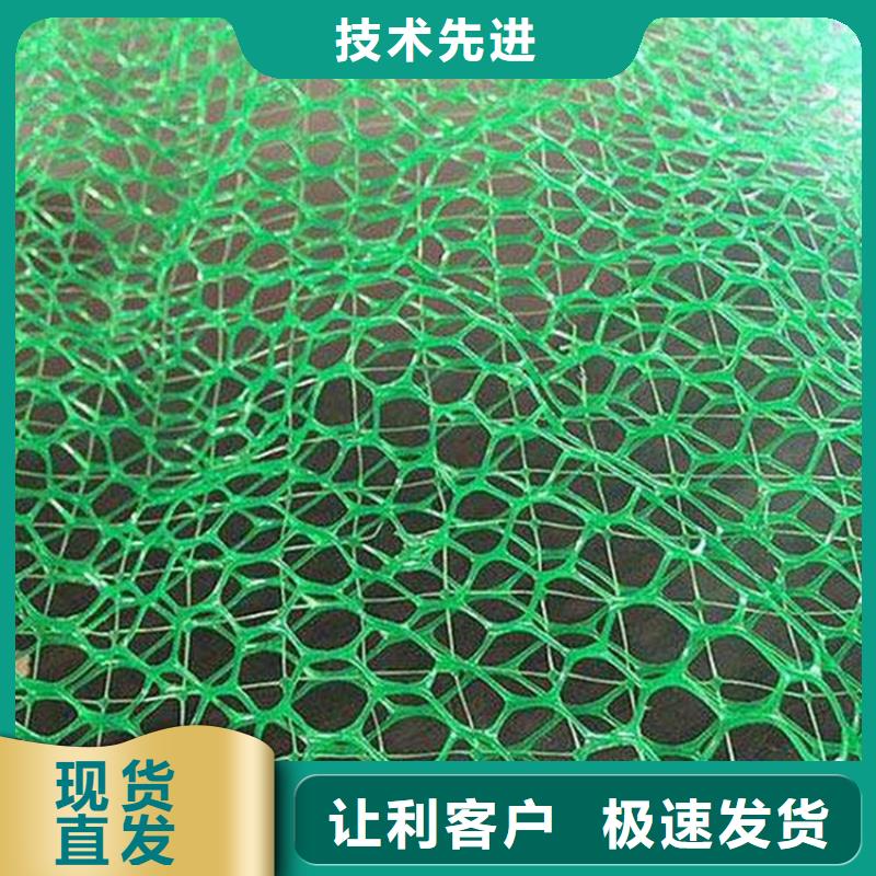 订购《鼎诺》EM4三维固土网垫-三维植被网