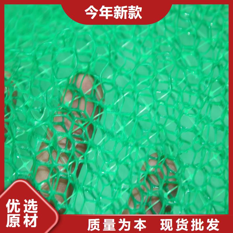 鼎诺三维植被网-EM3三维土工网垫-畅销本地-鼎诺土工材料