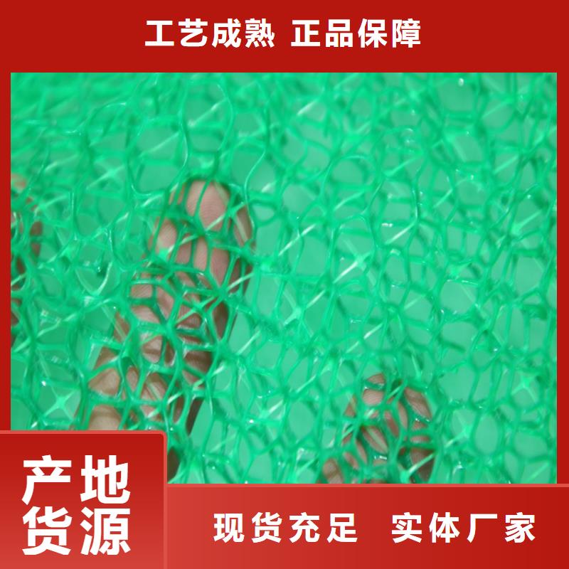 三维土工网垫EM3环保品牌：《鼎诺》-