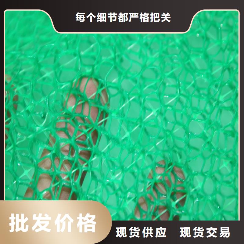 同城(鼎诺)EM3三维固土网垫品质保证