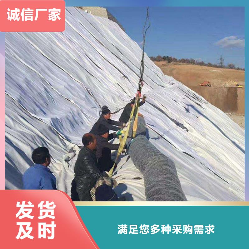 膨润土防水毯土工膜价格低