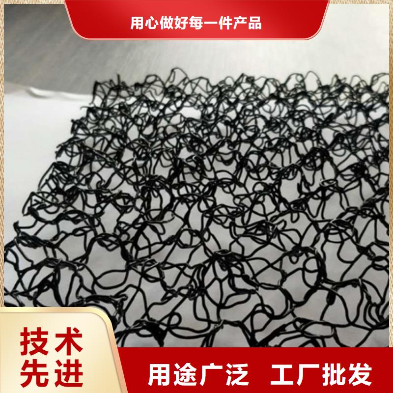 专业生产N年<鼎诺>水土保护毯膨润土防水毯实力厂家