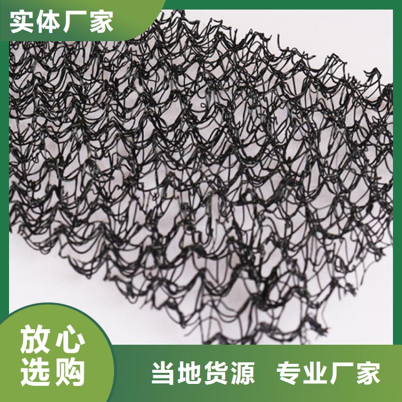 专业生产N年<鼎诺>水土保护毯膨润土防水毯实力厂家