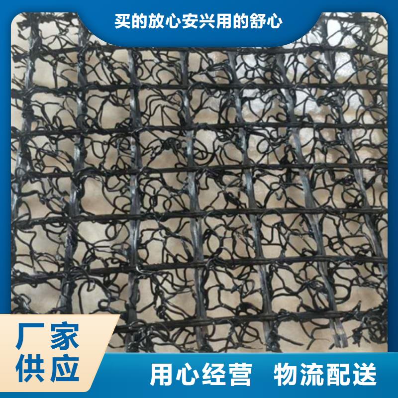 直销[鼎诺]水土保护毯土工格栅原厂制造