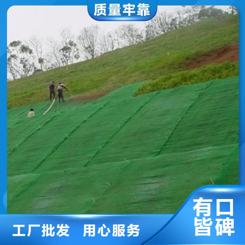 三维植草护坡网垫-三维土工网