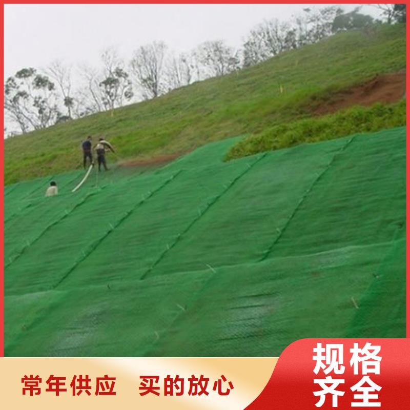 三维植草护坡网垫-EM2三维土工网垫