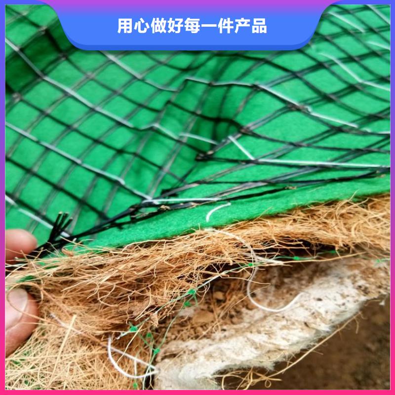 生态环保草毯-护坡植被植草毯-可降解环保草毯