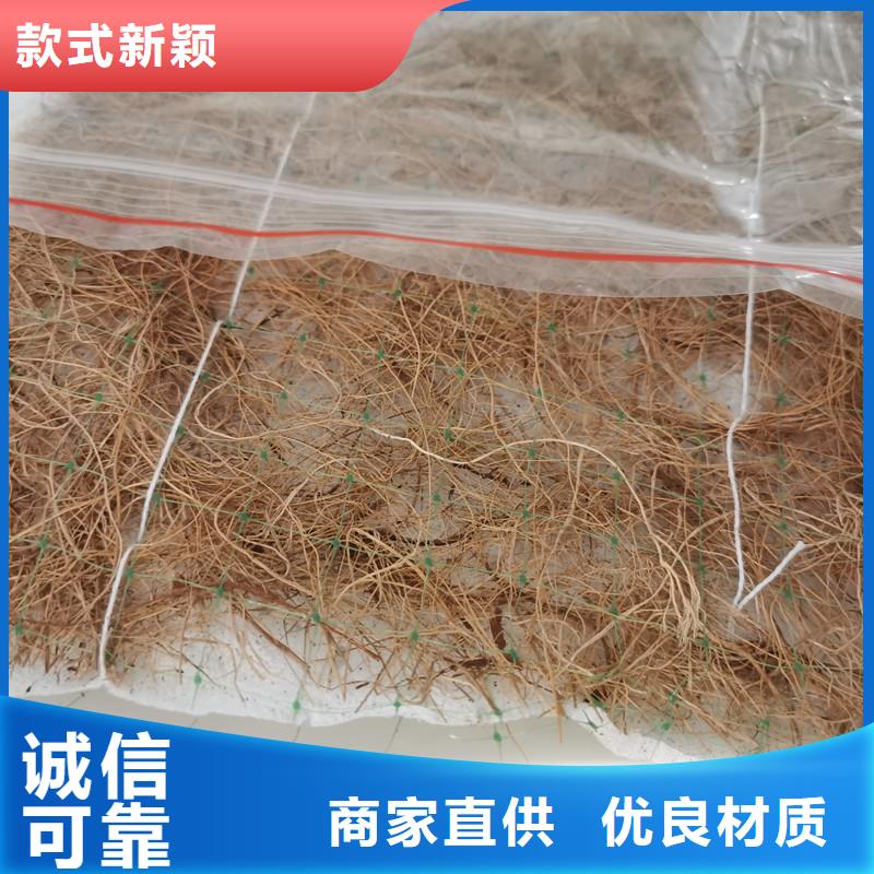 植生椰丝毯-加筋抗冲生物毯