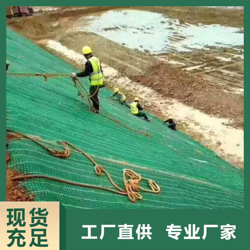 椰纤植生毯询问报价