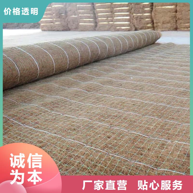 公路植生毯-固土椰丝毯