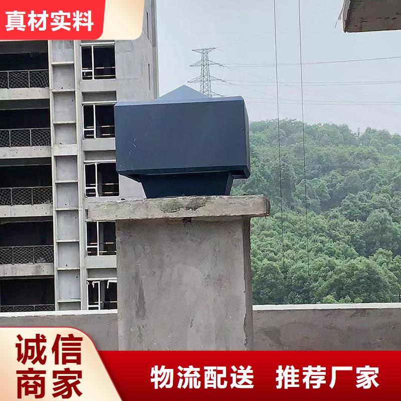 成品止回式风帽出厂价格